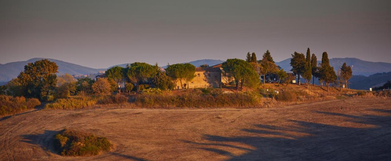 Podere San Francesco Bed & Breakfast Volterra Eksteriør bilde